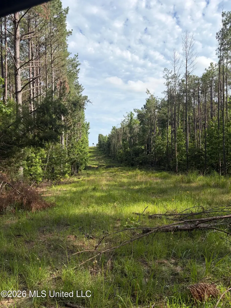 County Road 159, Coila, MS 38923 - #3