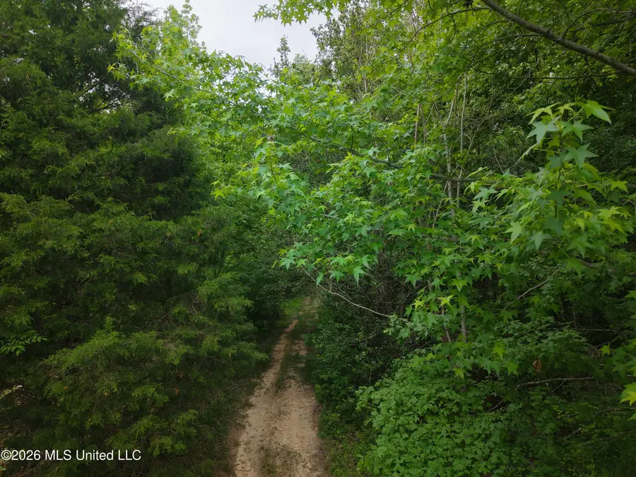 Beechwood Drive, Grenada, MS 38901 - #2