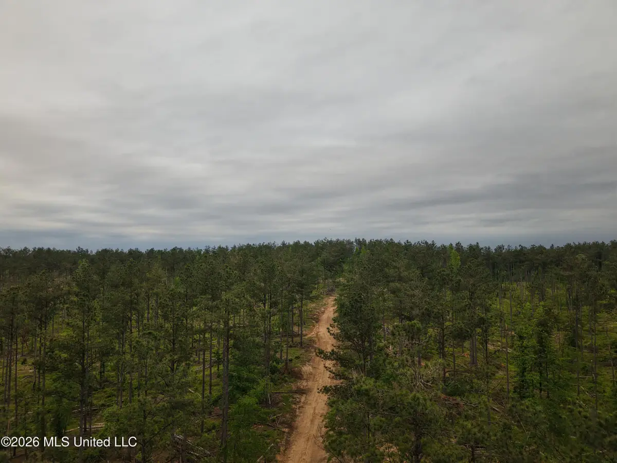 Graysport Crossing Road, Grenada, MS 38901 - #1