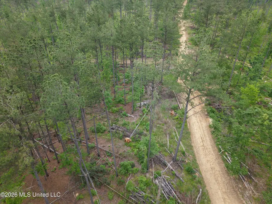 Graysport Crossing Road, Grenada, MS 38901 - #2