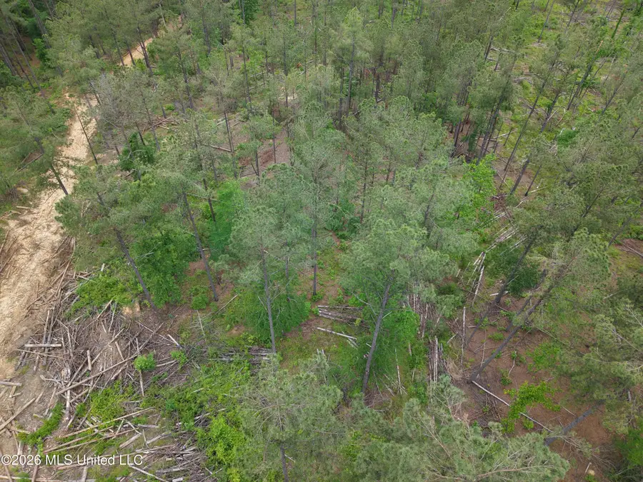 Graysport Crossing Road, Grenada, MS 38901 - #3