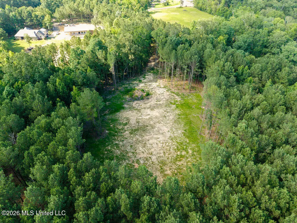 Trickhambridge Road, Brandon, MS 39042 - #1