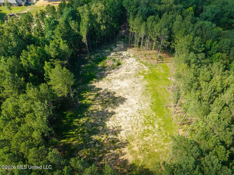 Trickhambridge Road, Brandon, MS 39042 - #3