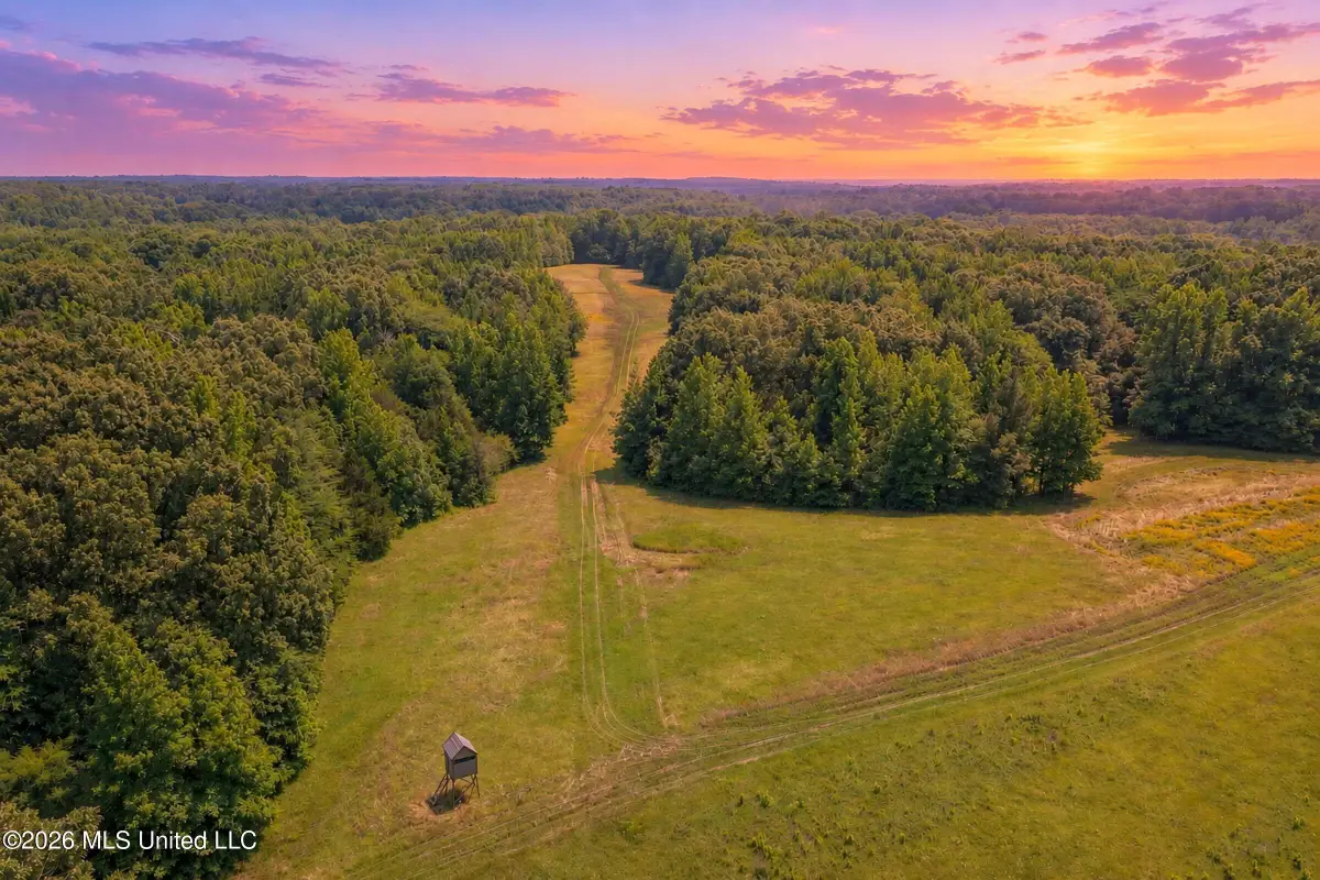 884 Avant Road, Crenshaw, MS 38621 - #1