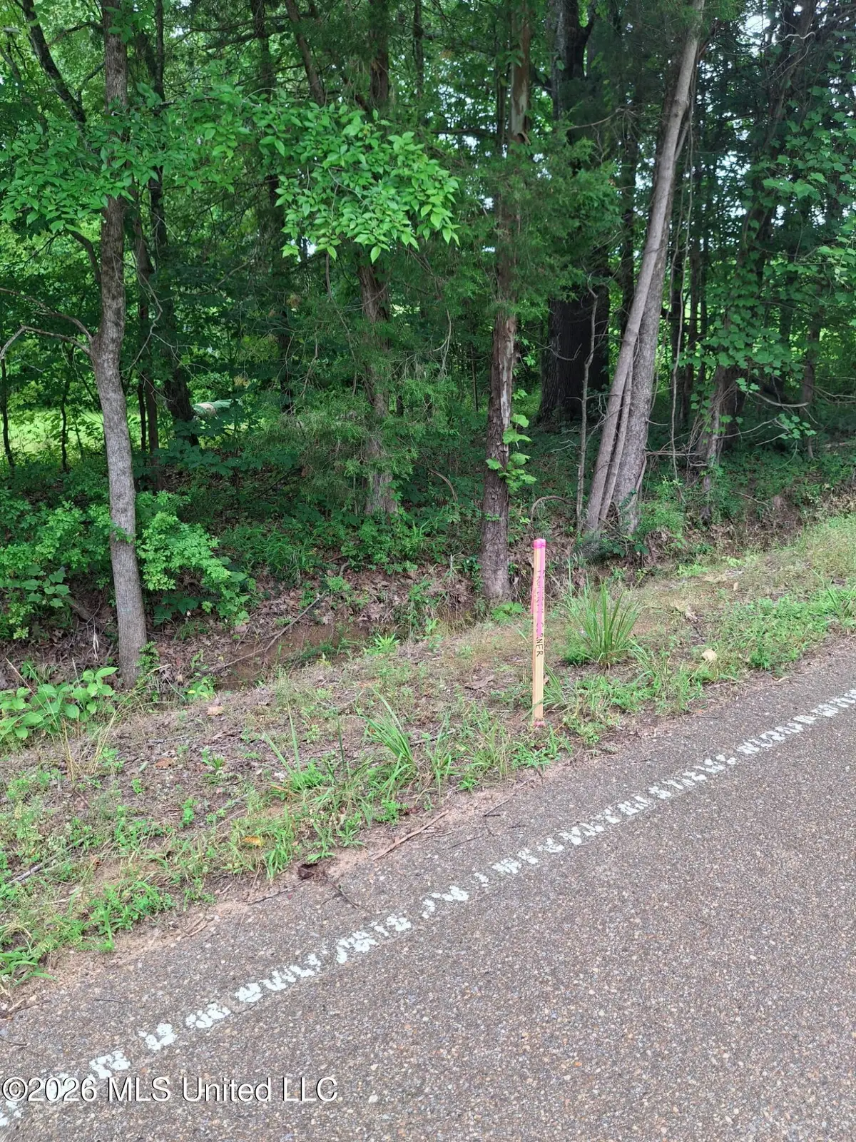 0 Denman Road, Byhalia, MS 38611 - #1