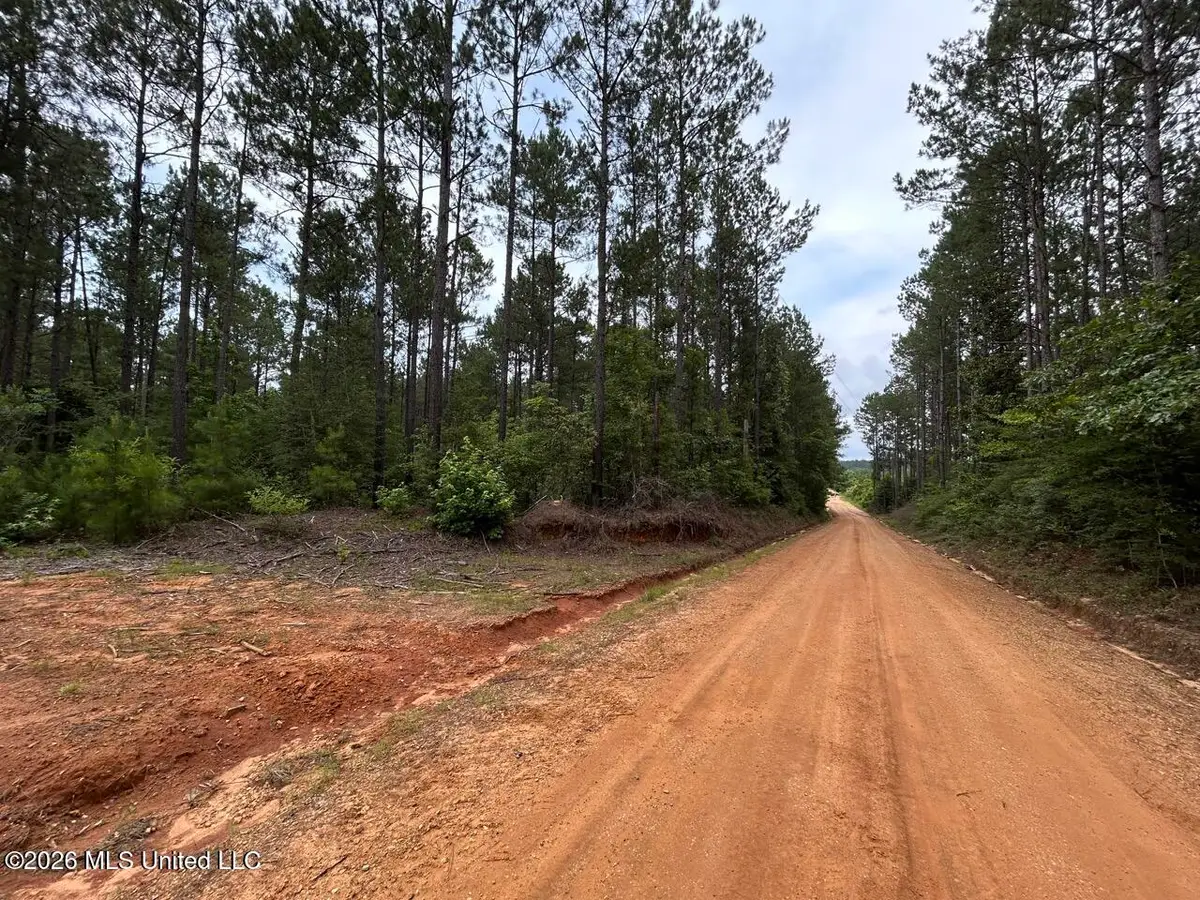 6643 Grange Hall Road, Osyka, MS 39657 - #1