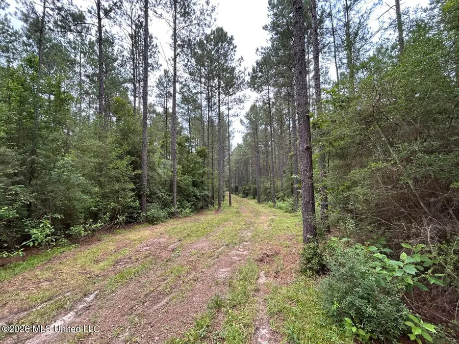 6643 Grange Hall Road, Osyka, MS 39657 - #3