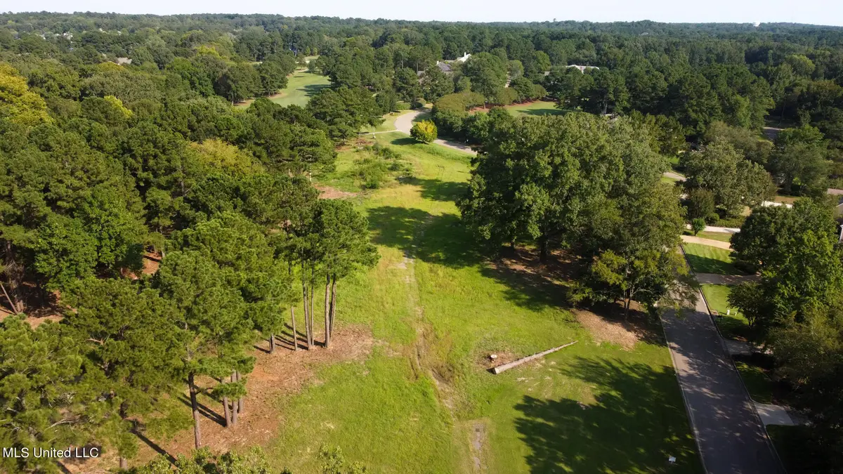 Annandale Drive, Madison, MS 39110 - #1