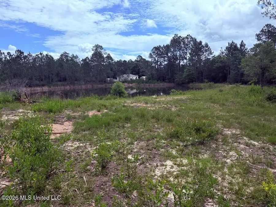 E Lake Cypress Drive, Perkinston, MS 39573 - #2