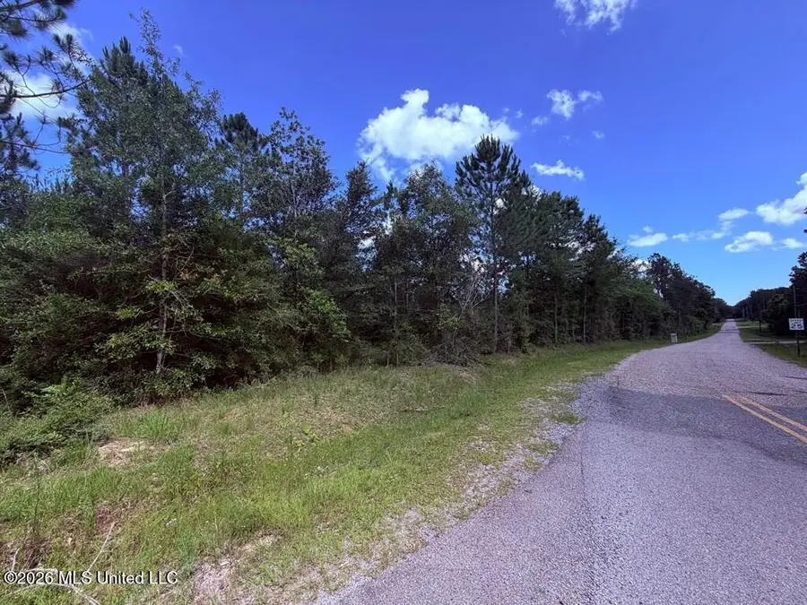 E Lake Cypress Drive, Perkinston, MS 39573 - #3