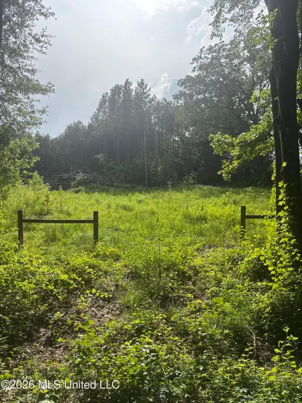 8119 Dry Grove Road, Raymond, MS 39154
