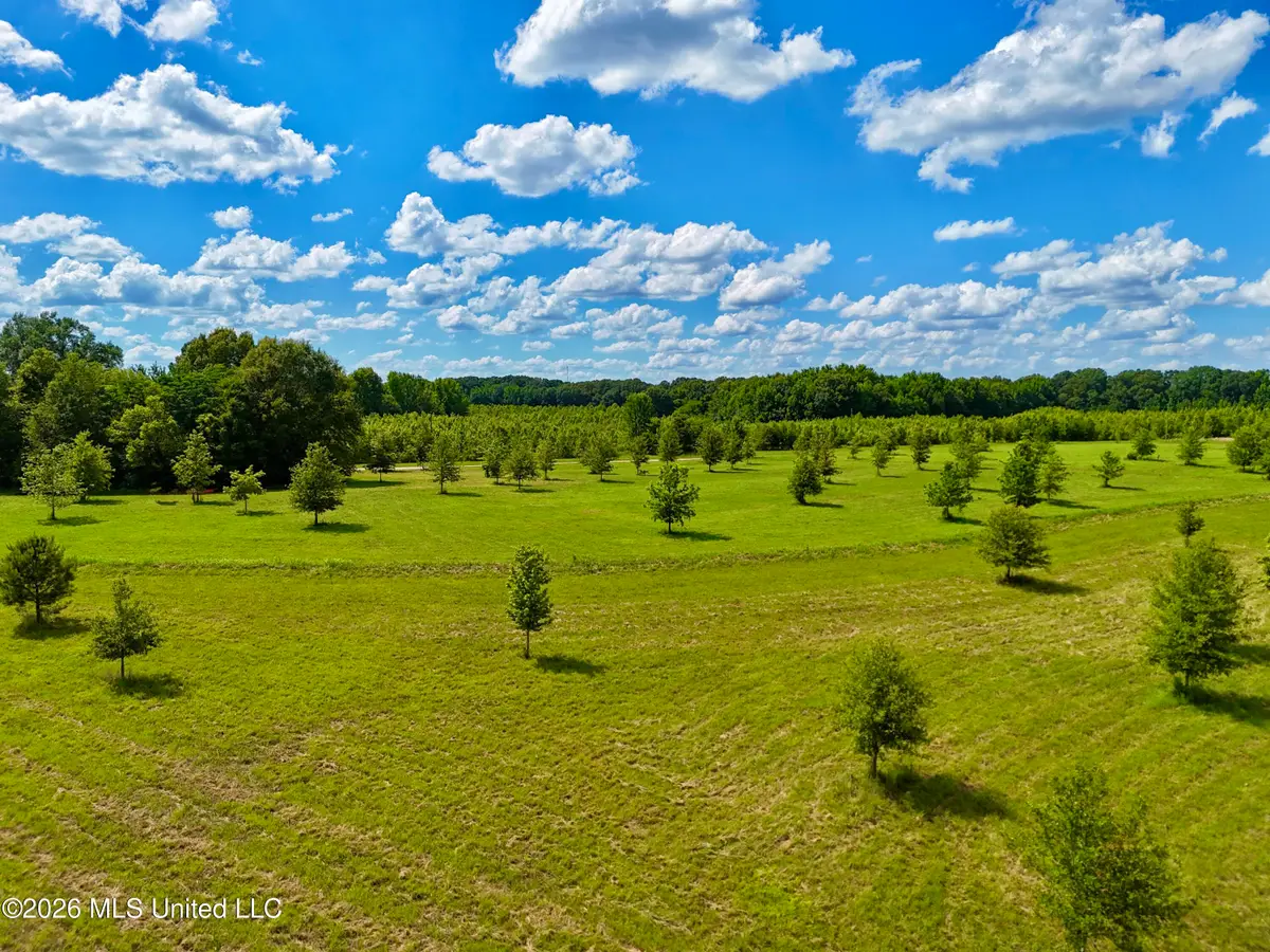 0014 Windermere Boulevard, Madison, MS 39110 - #1