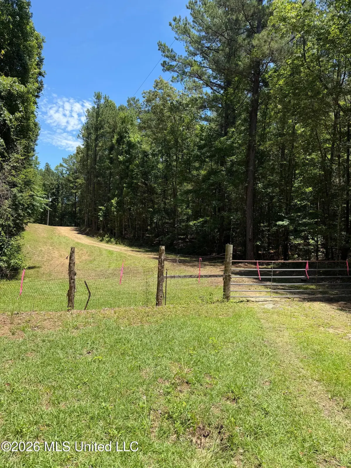 Walker Road, Newton, MS 39345 - #1