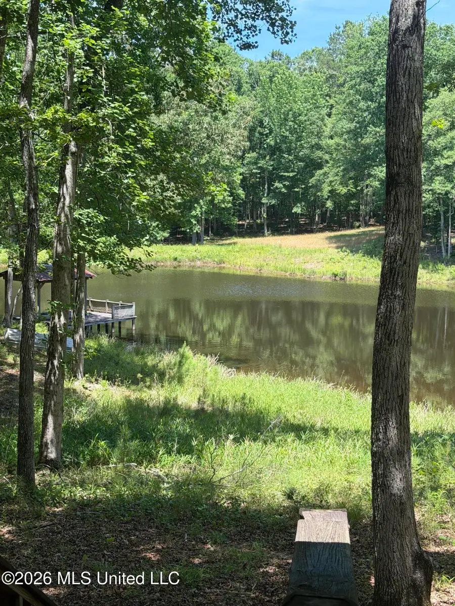 Walker Road, Newton, MS 39345 - #2