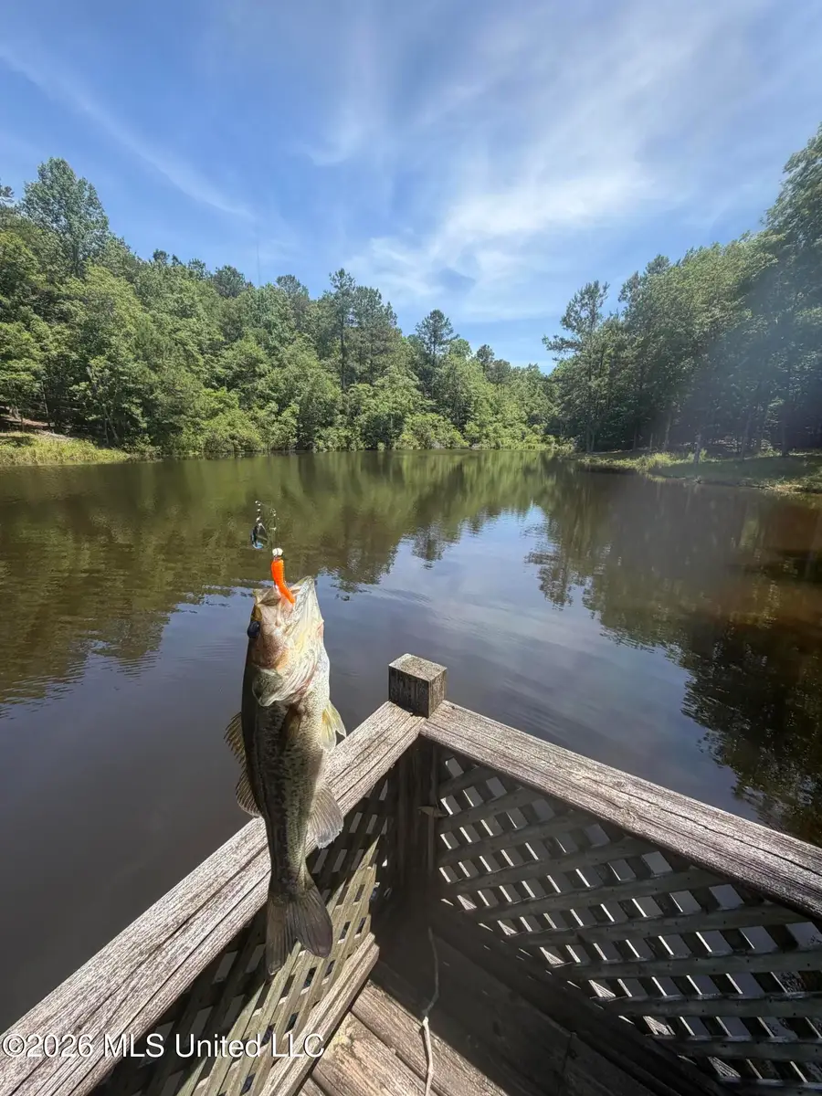 Walker Road, Newton, MS 39345 - #3