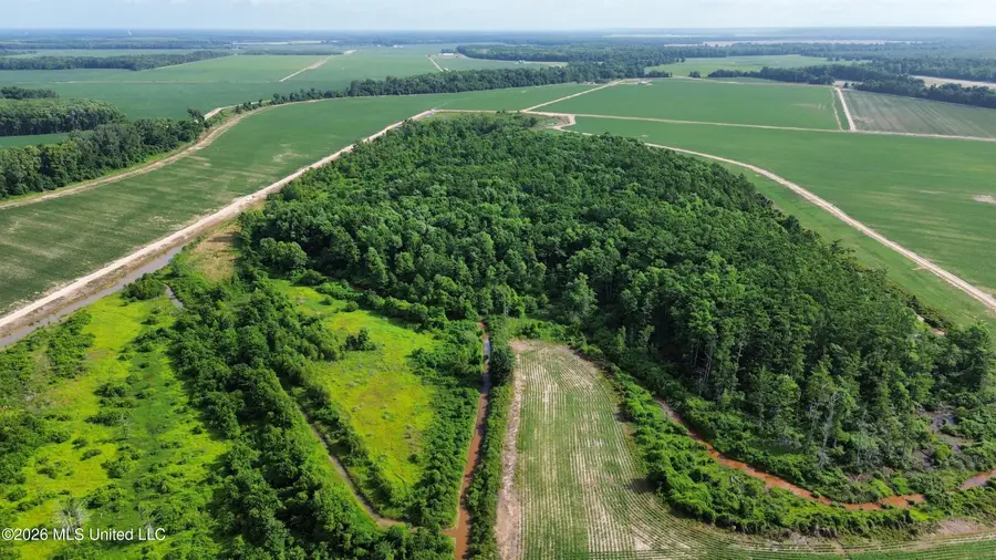County Road 430, Sidon, MS 38954 - #2