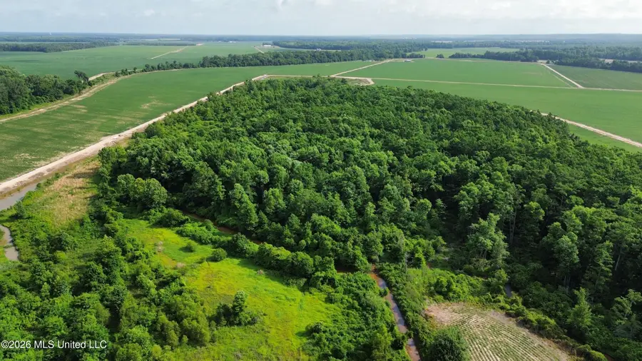 County Road 430, Sidon, MS 38954 - #3