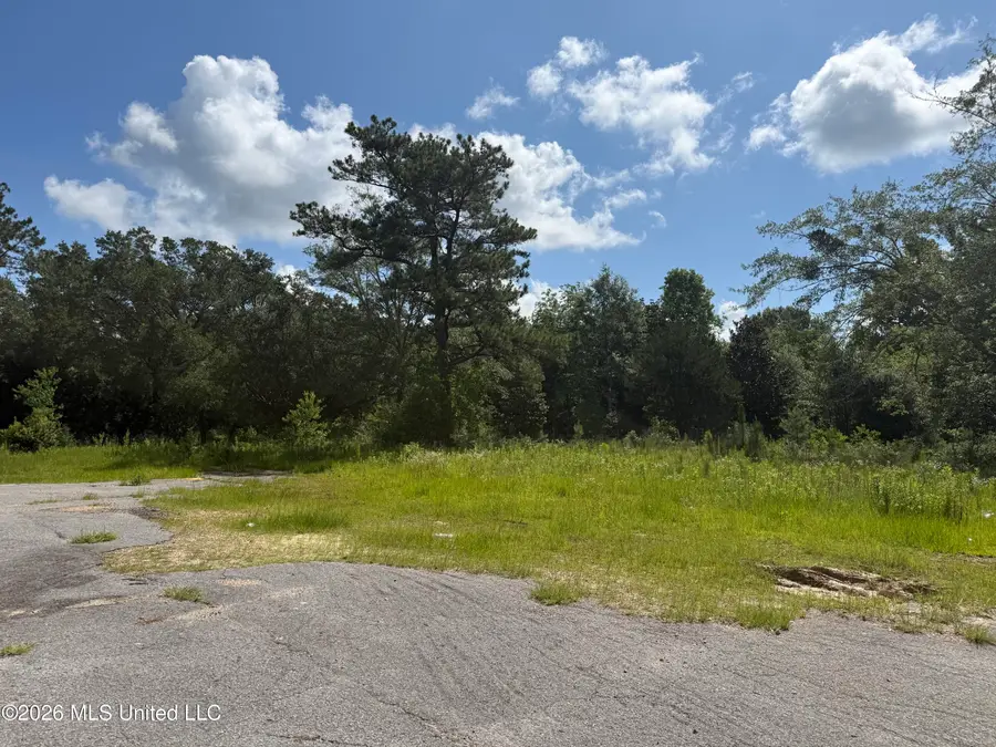 22280 Success Road, Saucier, MS 39574 - #3