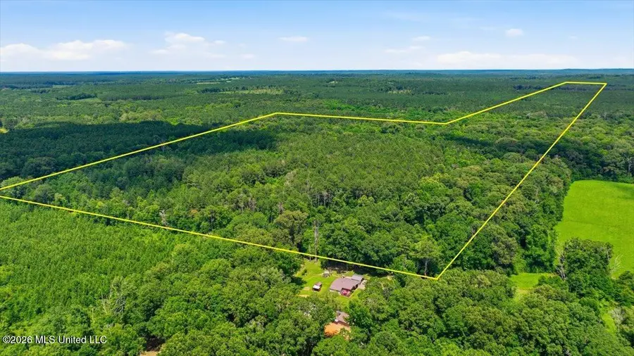 Blackwell Drive, Forest, MS 39074 - #2