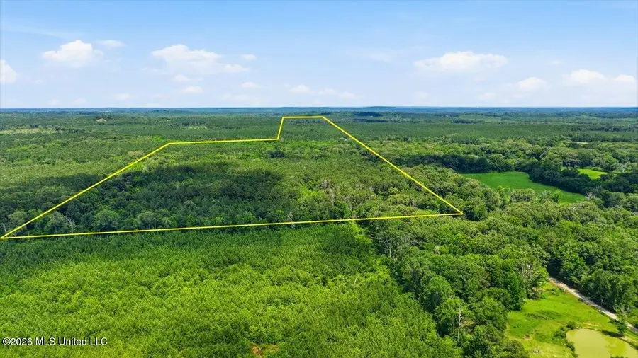Blackwell Drive, Forest, MS 39074 - #3
