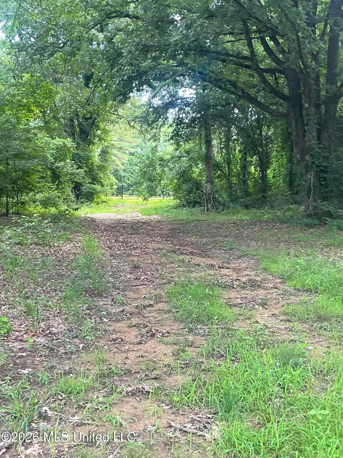 Longtown Road, Sarah, MS 38665 - #1