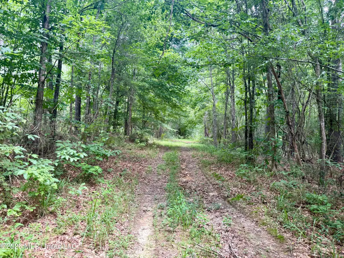 Chisholm Drive, Bogue Chitto, MS 39629 - #1