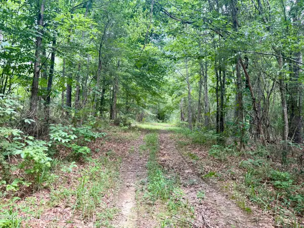 Chisholm Drive, Bogue Chitto, MS 39629