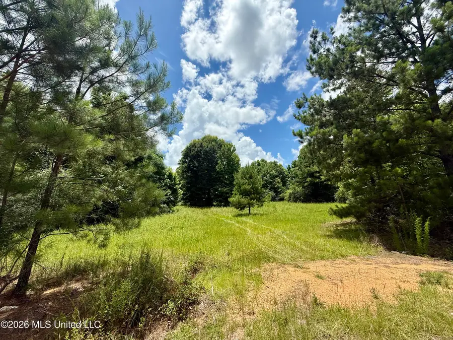 Chisholm Drive, Bogue Chitto, MS 39629 - #2