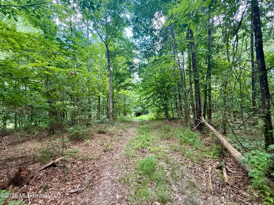 Chisholm Drive, Bogue Chitto, MS 39629 - #3