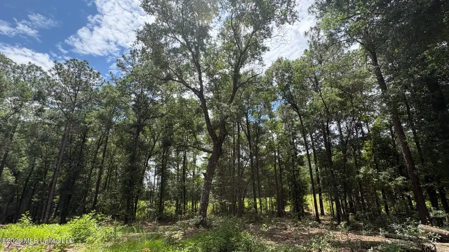 1935 Gator Lane, Vancleave, MS 39565 - #2