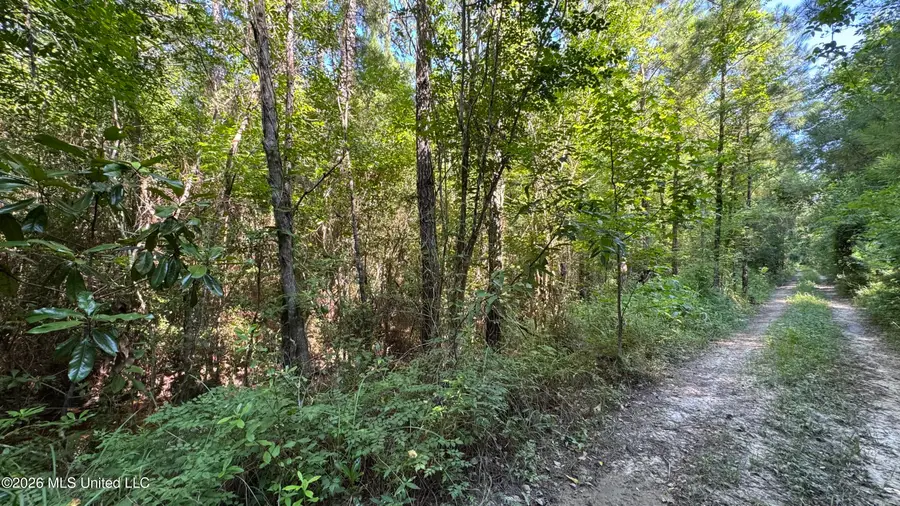 Lot 2,3, 5 Riverside Drive, Biloxi, MS 39532 - #2