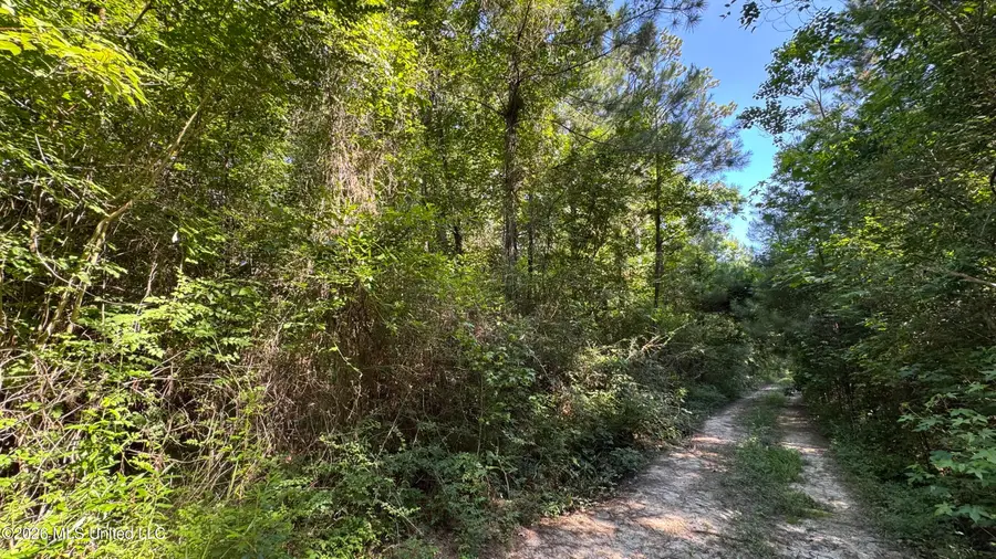 Lot 10 Riverside Drive, Biloxi, MS 39532 - #2