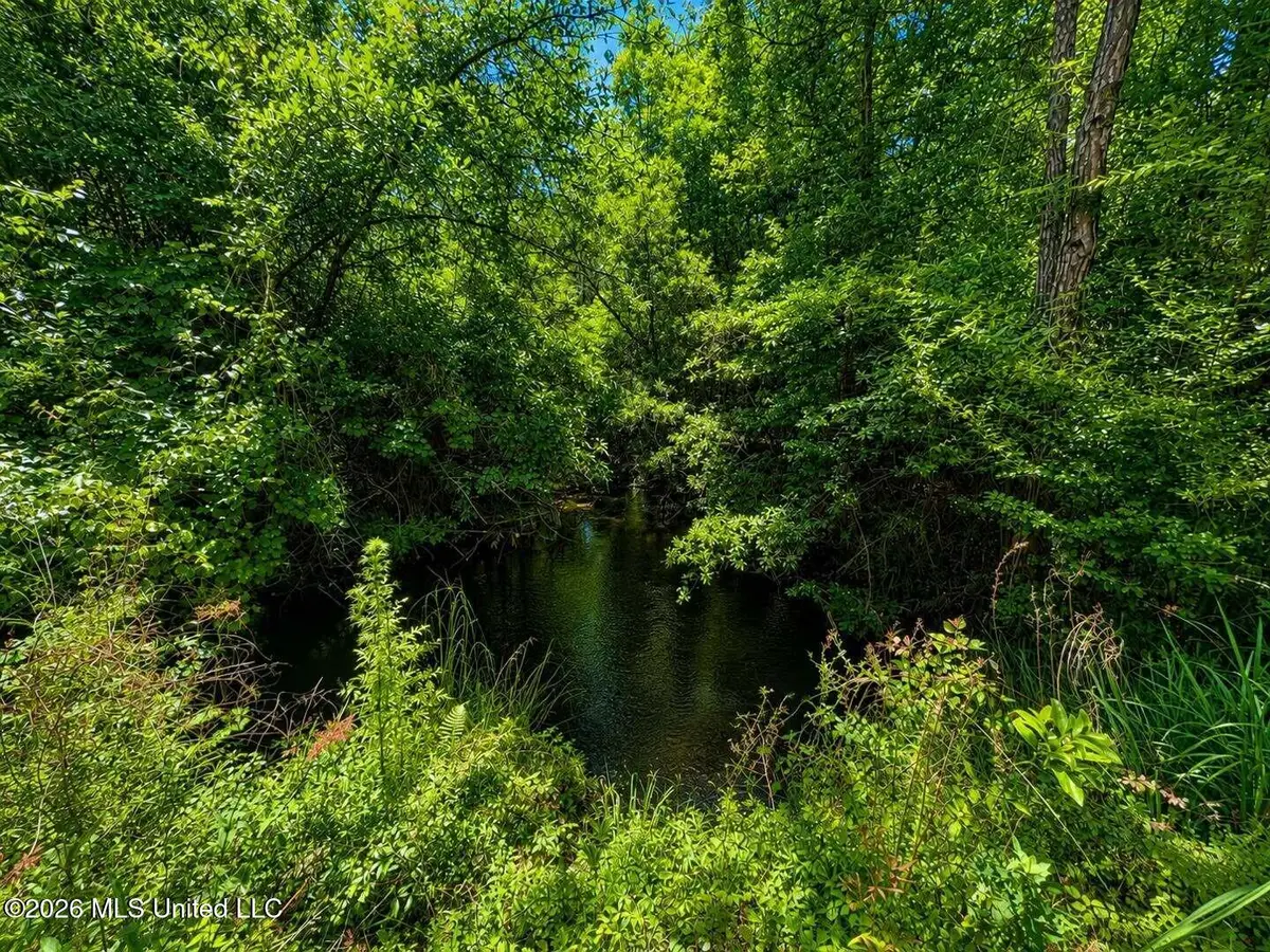 8.2 Acres Breland Road, McLain, MS 39456 - #1