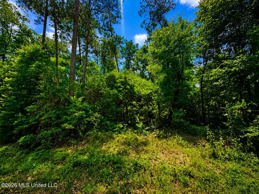 8.2 Acres Breland Road, McLain, MS 39456 - #3