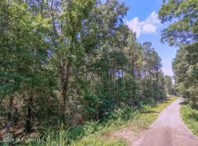Nhn NW Neil Lambert Road, Jayess, MS 39641