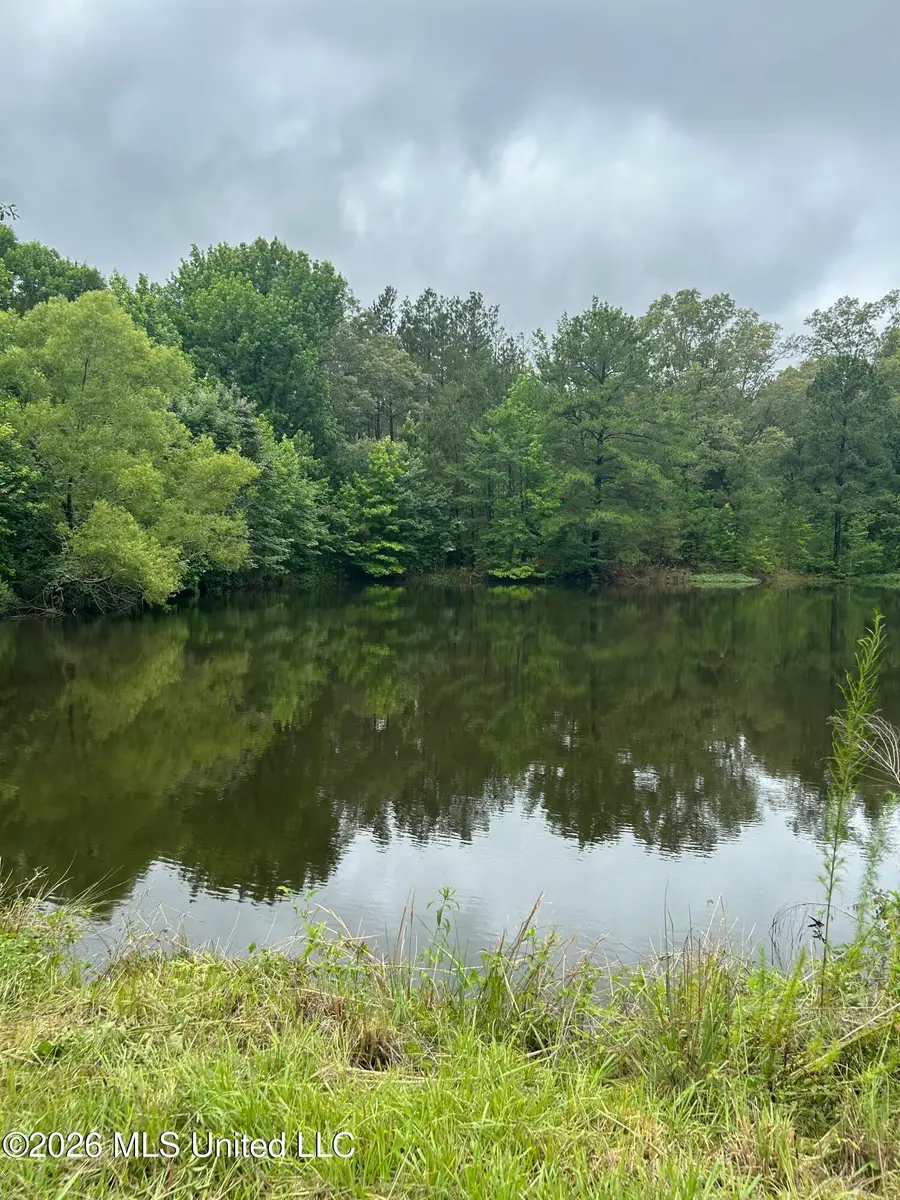 1308 Barlow Drive, Utica, MS 39175 - #3