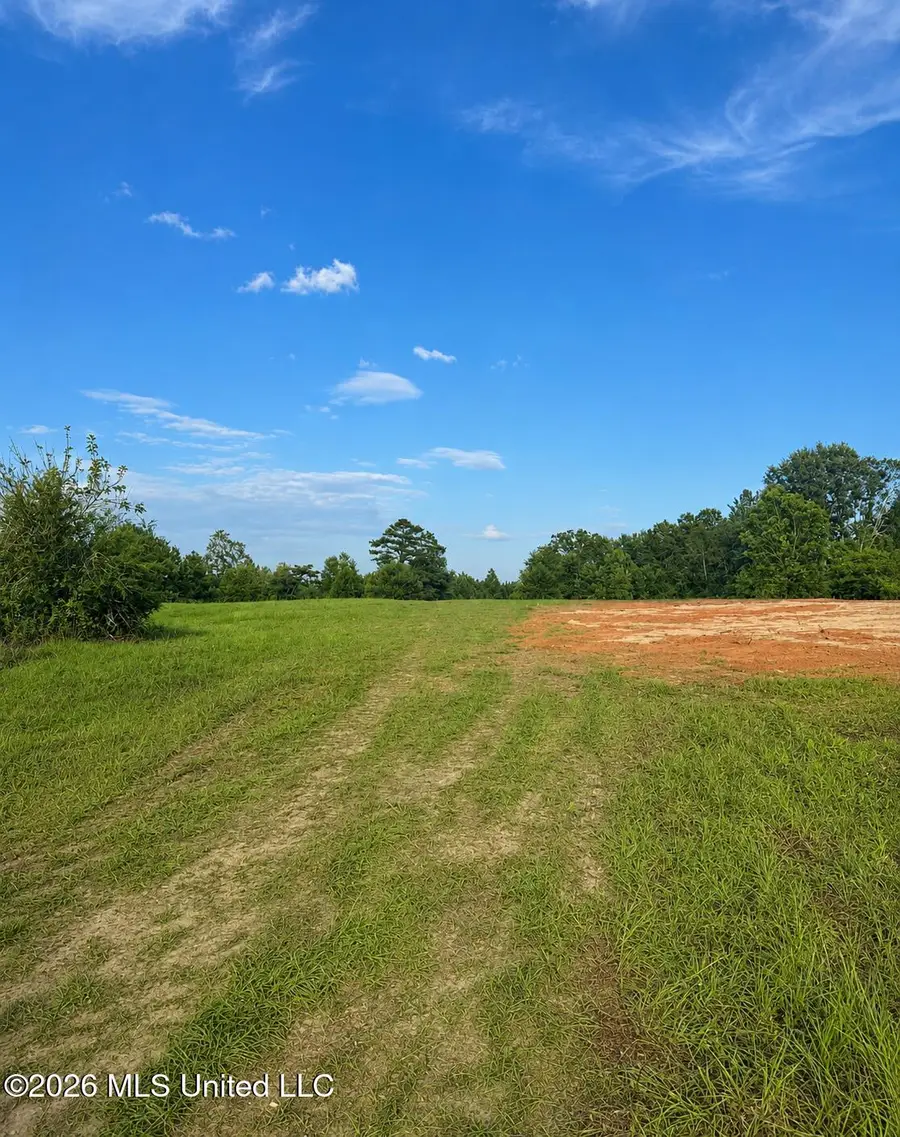 8847 County Road 77, Mize, MS 39116 - #2
