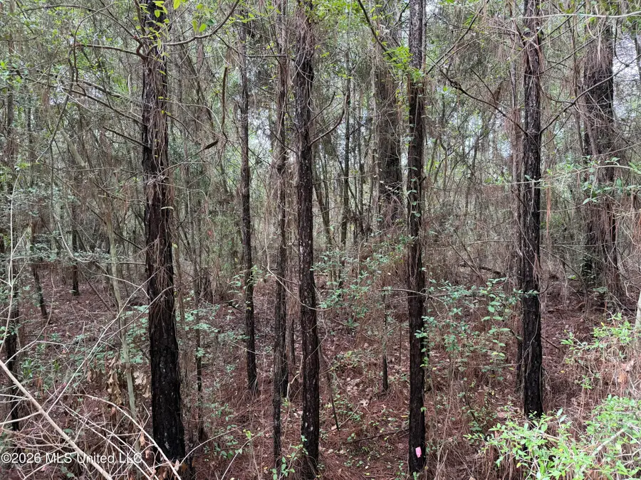 Misty Lane, Lumberton, MS 39455 - #3