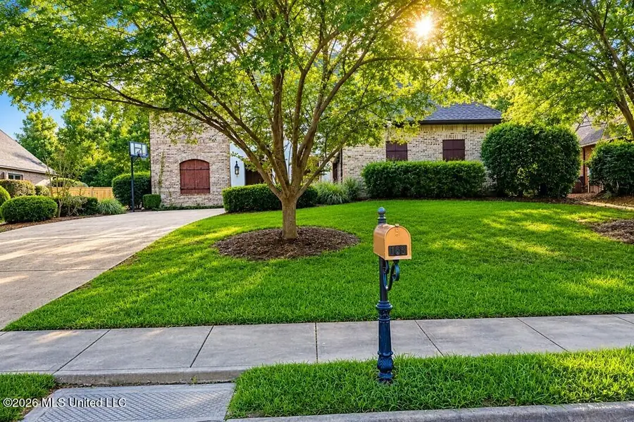 169 Saint Ives Drive, Madison, MS 39110 - #2