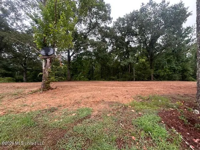 2347 Attala Road 4112, Sallis, MS 39160 - #1
