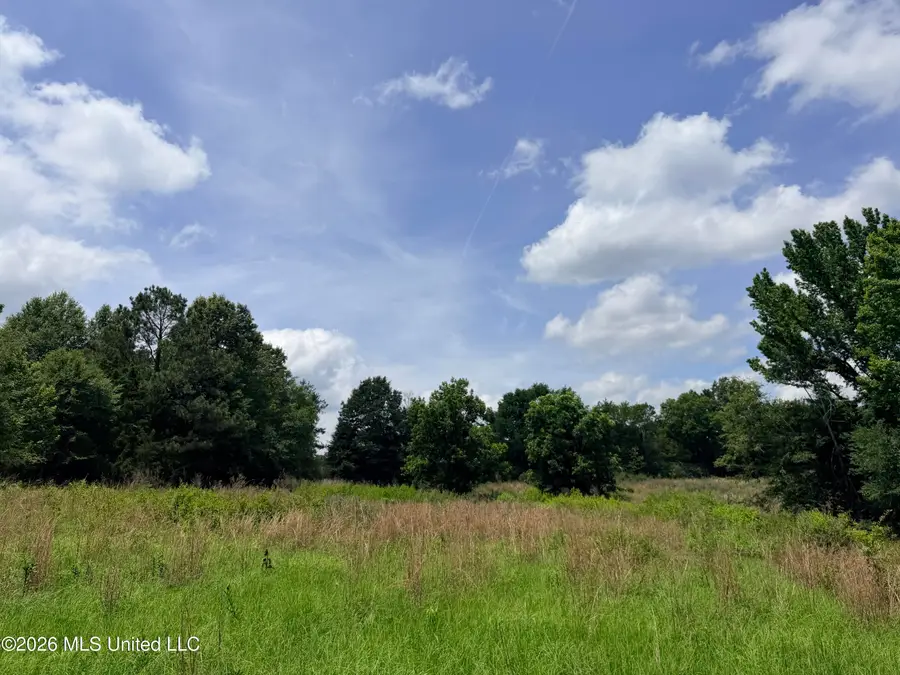 Lot #2 Wildwood At Pinehaven Drive, Jackson, MS 39209 - #3
