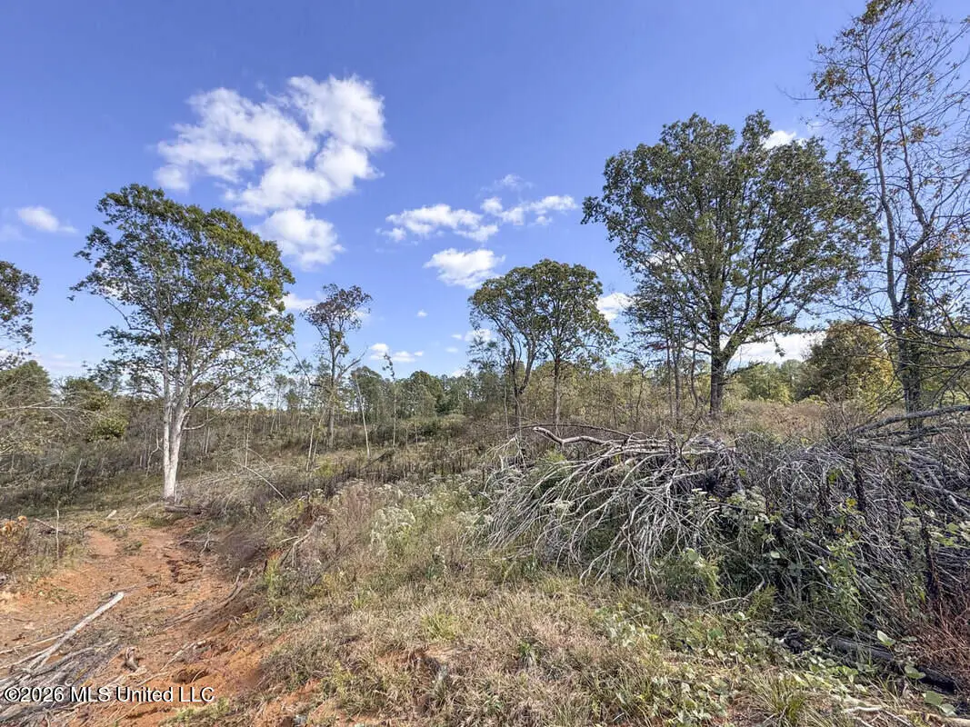 County Road 154, Tillatoba, MS 38961 - #1