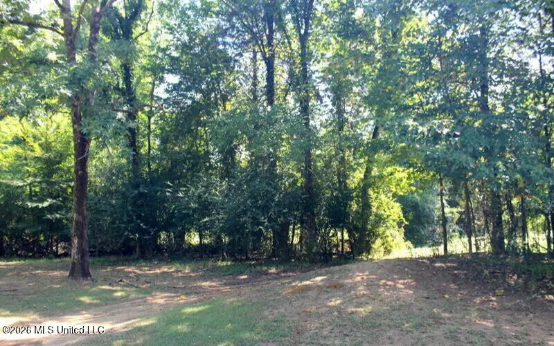 145 Annandale Golf Club Drive, Madison, MS 39110 - #1