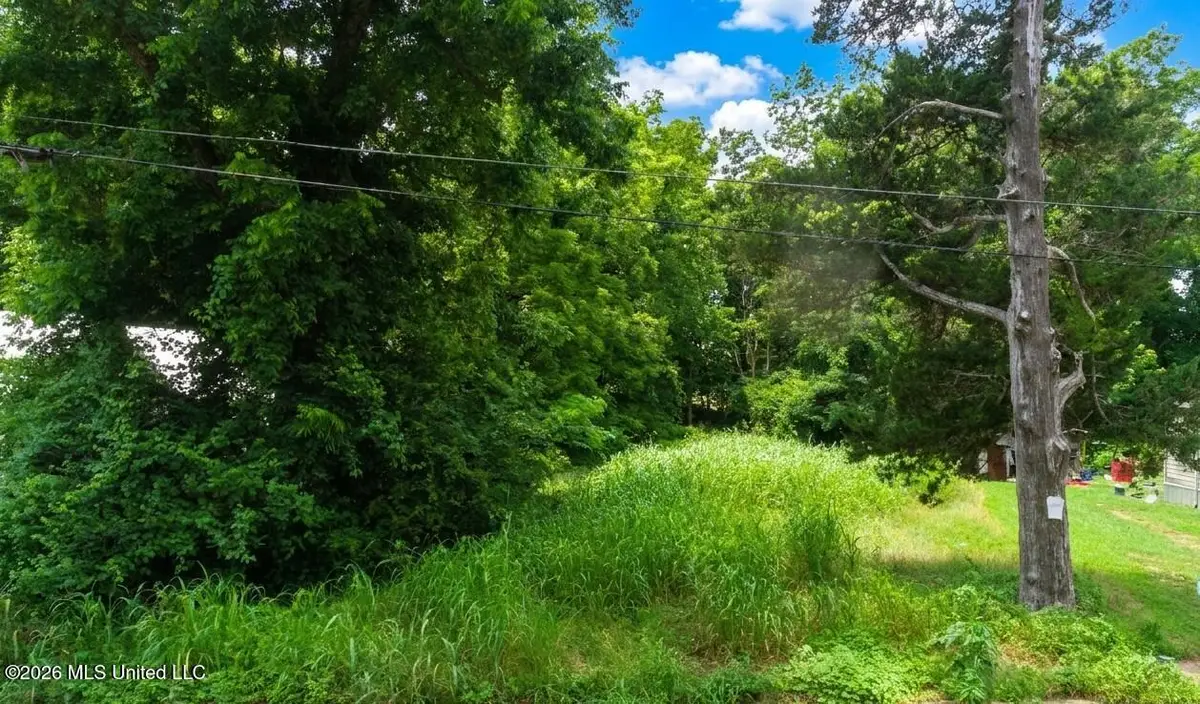 213 Melrose Street, Sardis, MS 38666 - #1