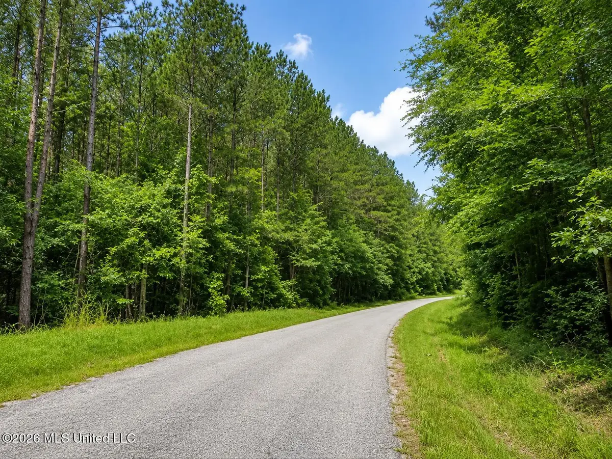Scr Road 114, Mize, MS 39116 - #1