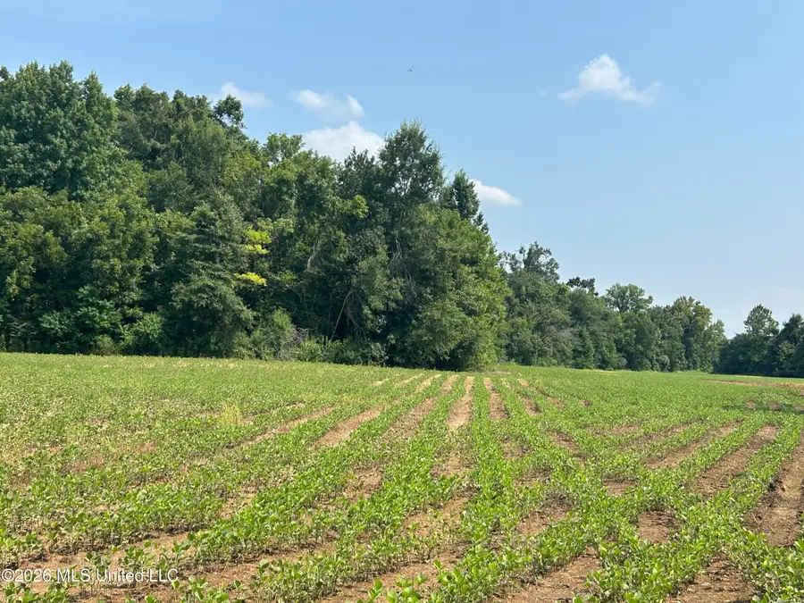 Leflore County, Greenwood, MS 38930 - #3