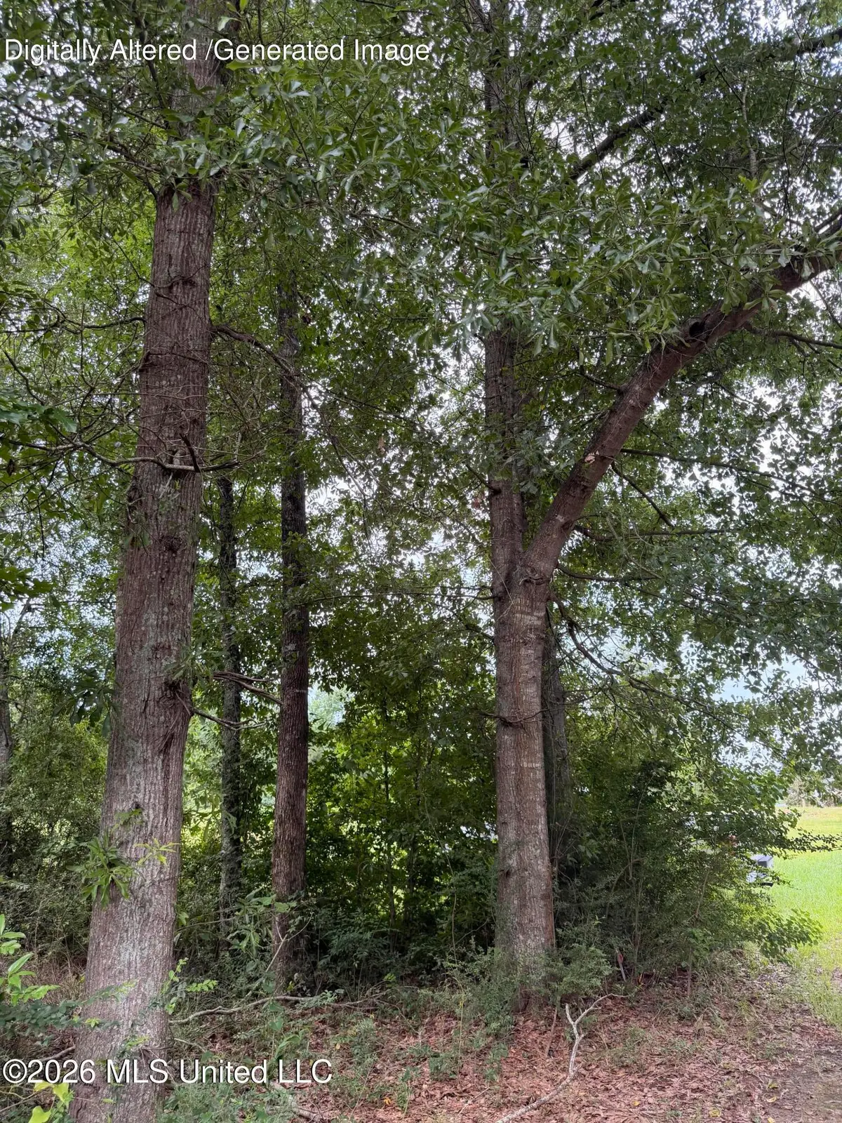 Cedar Ridge, McComb, MS 39648 - #1