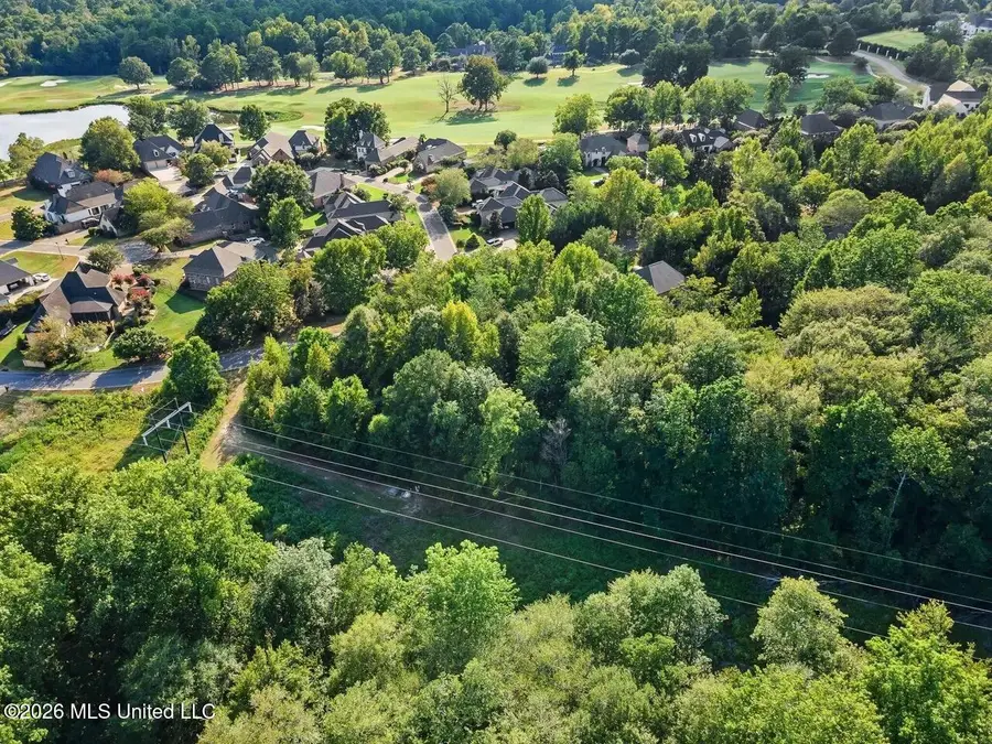 0 Pecan Acres, Hattiesburg, MS 39402 - #3