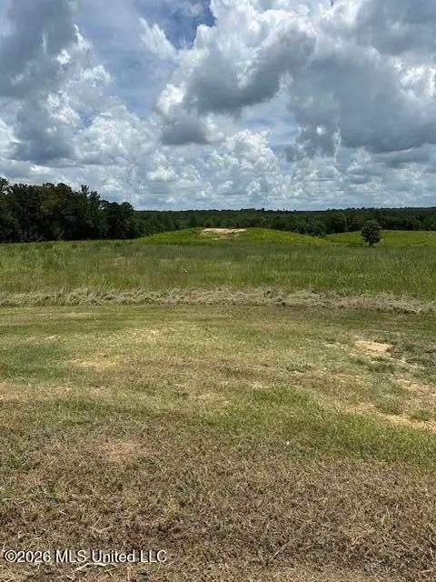 120 Eula Grayson Road, Mendenhall, MS 39114