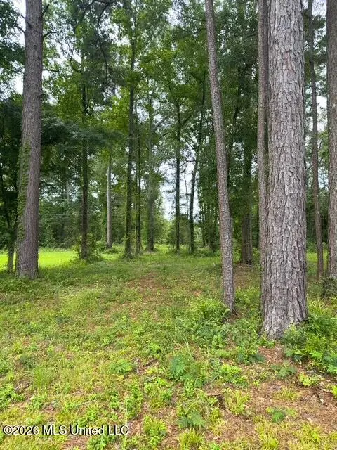 Ms-471, Brandon, MS 39047 - #3